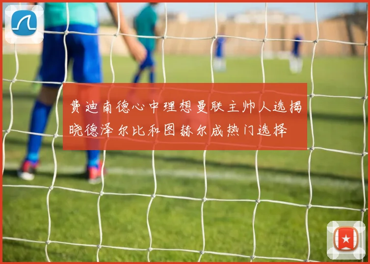 费迪南德心中理想曼联主帅人选揭晓德泽尔比和图赫尔成热门选择