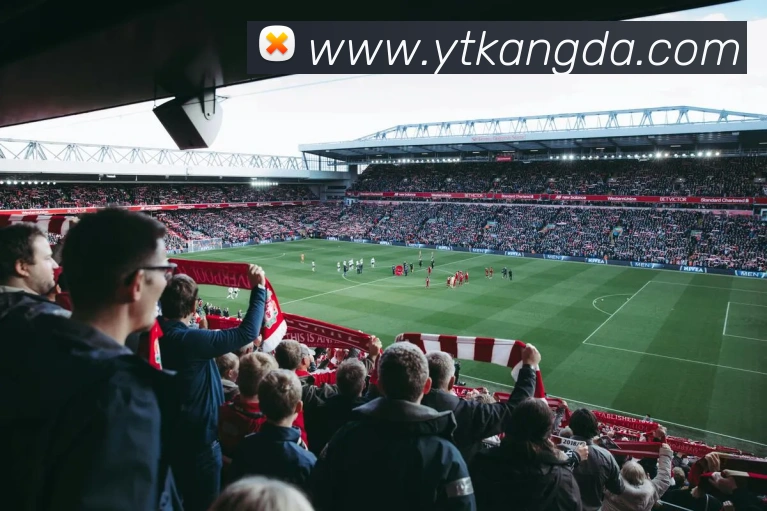 od网页版登陆平台生态图